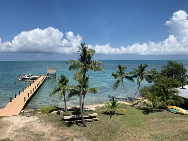 the view from your bedroom at pigeon key