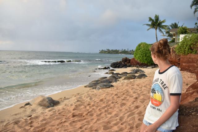 Hawaii Turtle Girl on a Beach