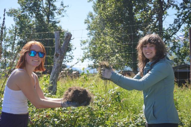 Sustainable Service Alaska