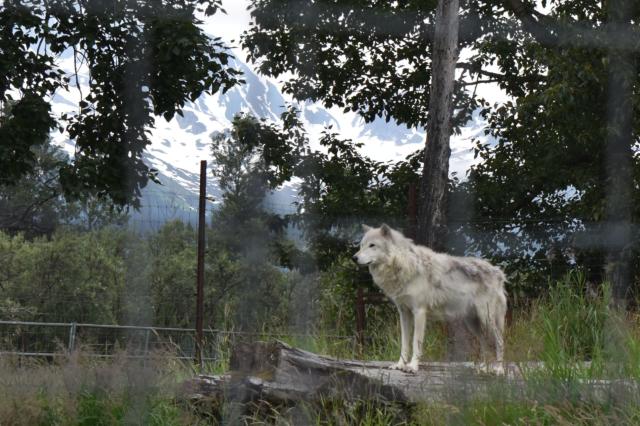 ed749795-eff5-5323-8035-0061c50bc715