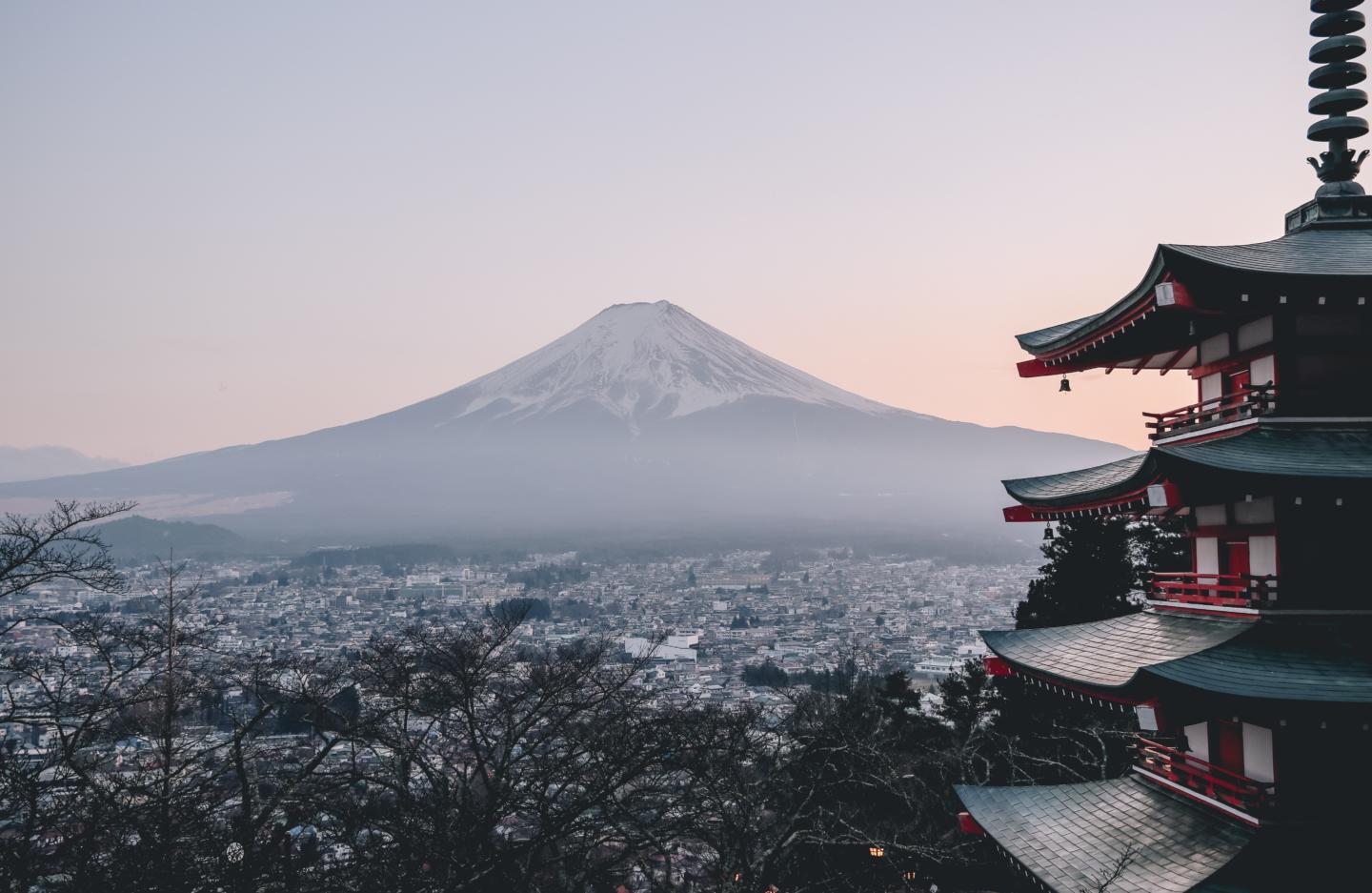 Teens discover the beauty of Japan on their school trip to Asia