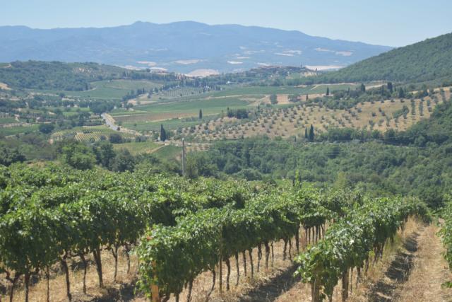 Rolling hills of Tuscany