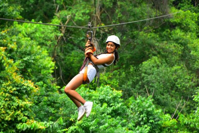 d9982ad1-79b0-5bac-8aa9-fb6ada9ec387-1