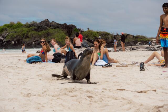 42295b20-1a60-56cf-979d-ef5a74dd896a-1