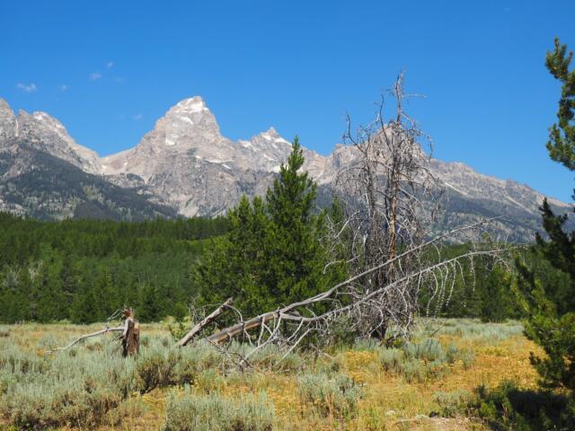 0509e17f-a436-58ac-81ab-79c00ae501f6