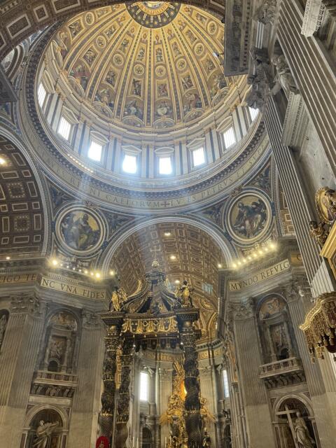 d6c6e4bf-7555-5d41-bc4a-8b1774e7d9eb