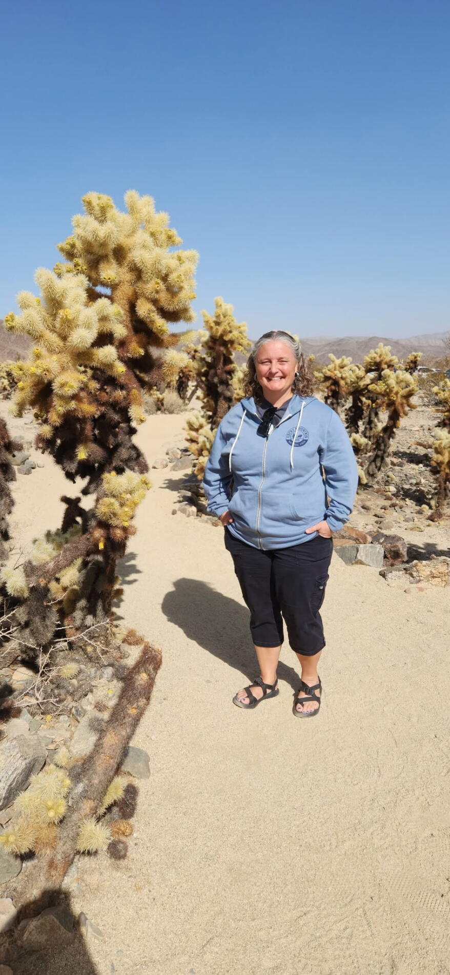 57ad8366-bddc-42dd-9723-f295d87faf4c