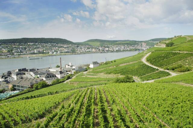 rudesheim-low-res-from-chambers