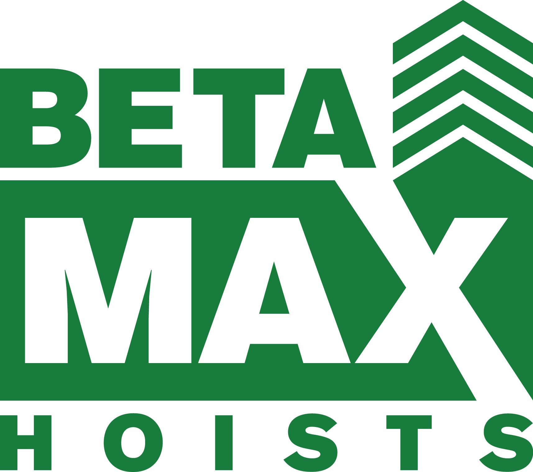 Beta Max Inc