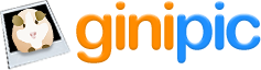 Customer Feedback for Ginipic