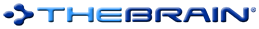 Thebrain-logo-beveled