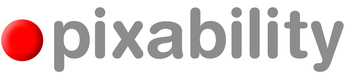 Logo_pixability_ohne_claim_cropped