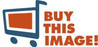Bti_logo