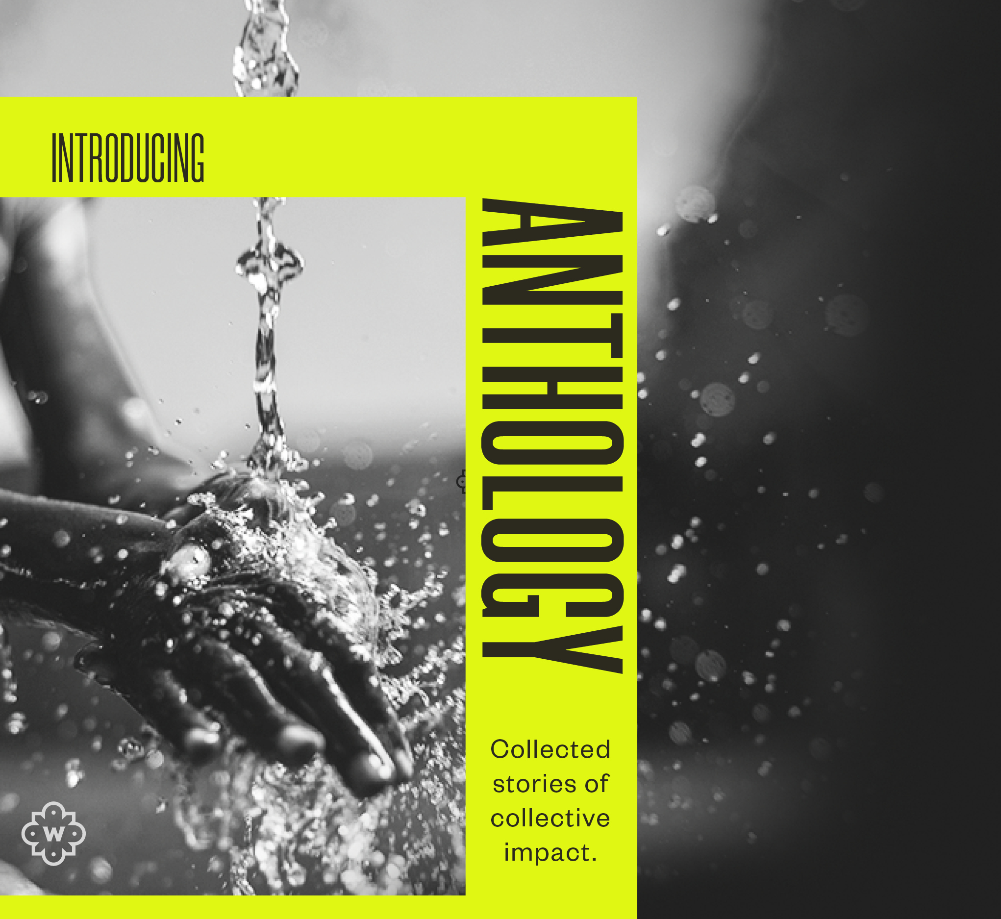 Introducing Anthology