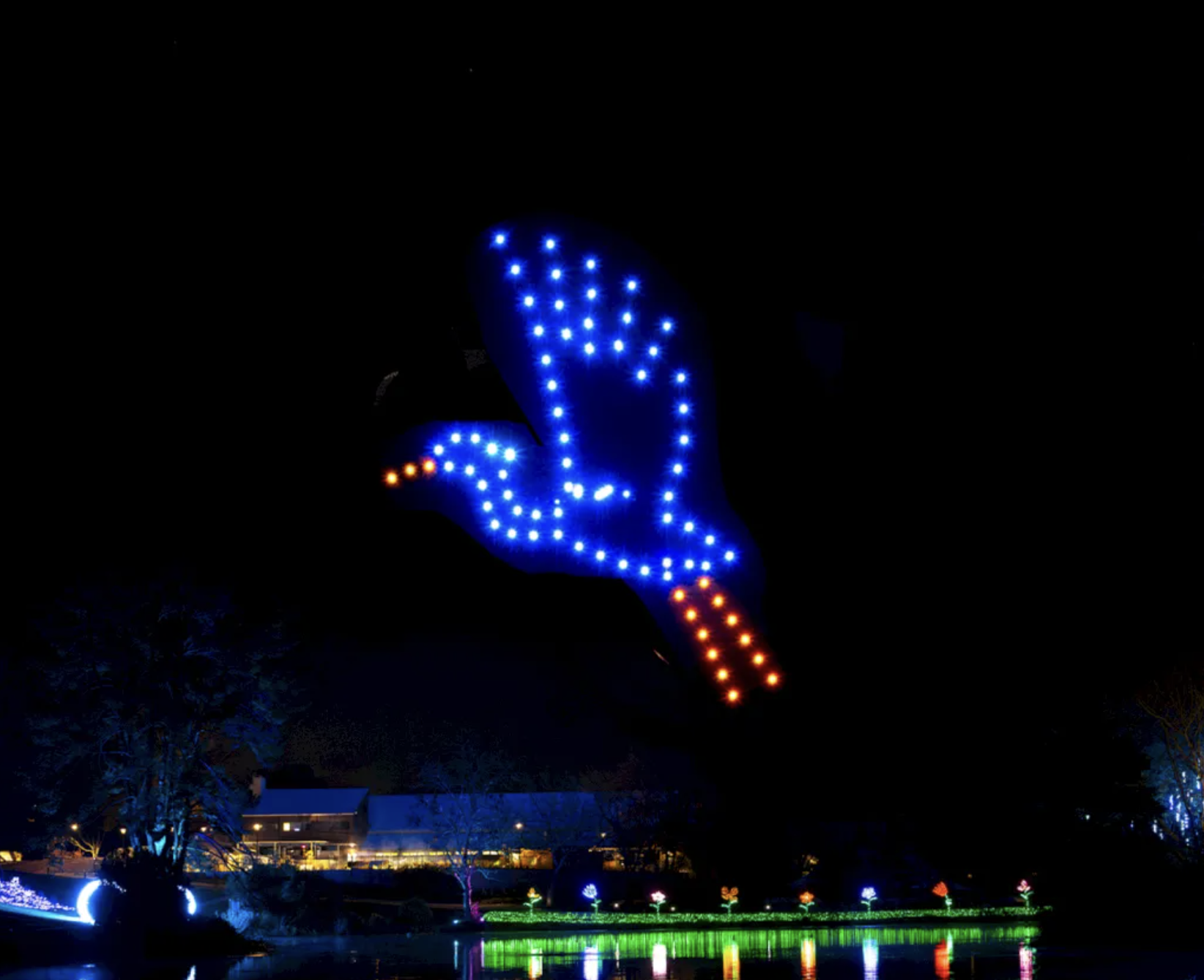 Winter Wander lights