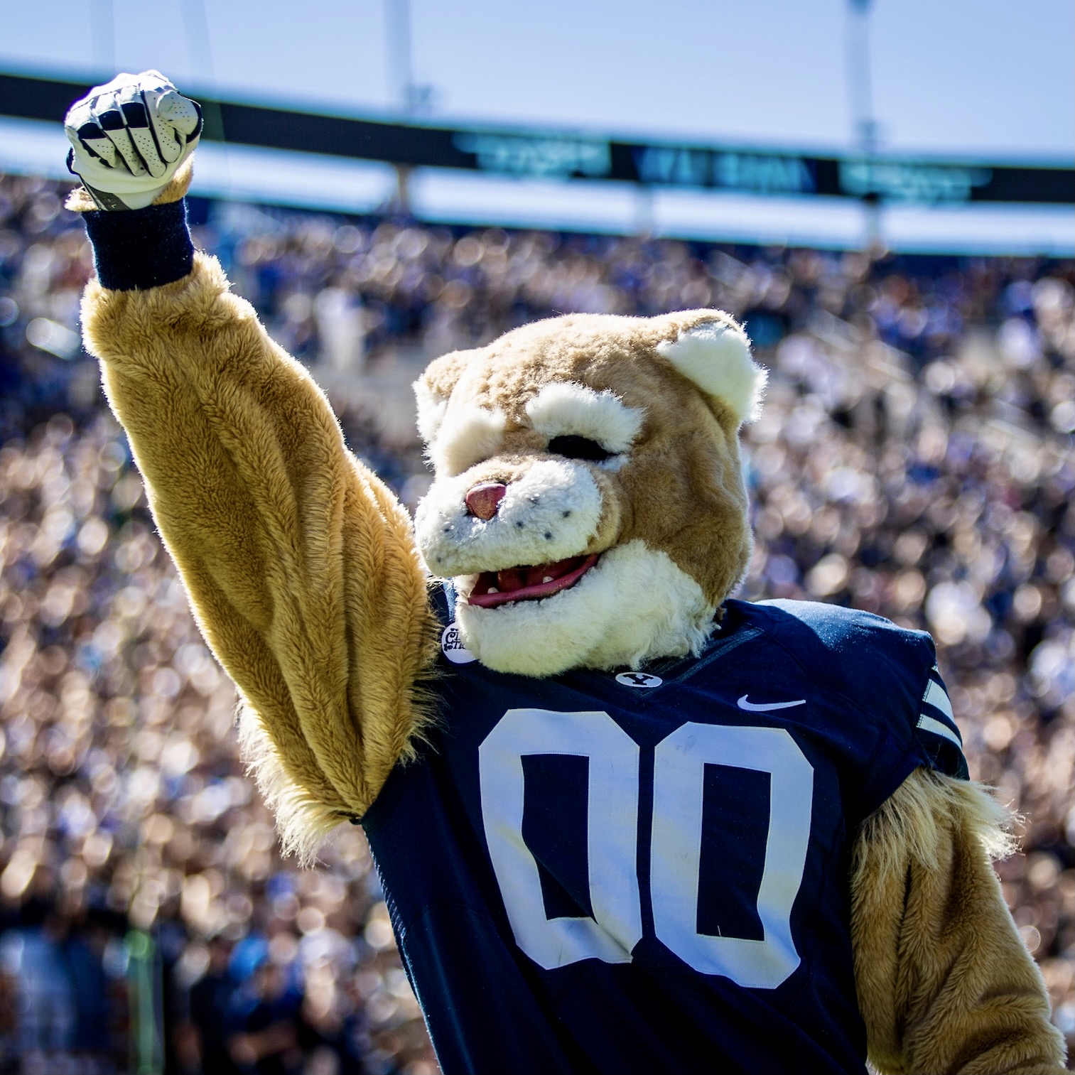 BYU vs USF Football Game and Tailgate 2022