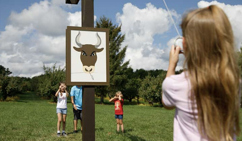 Ferguson's Orchards experience
