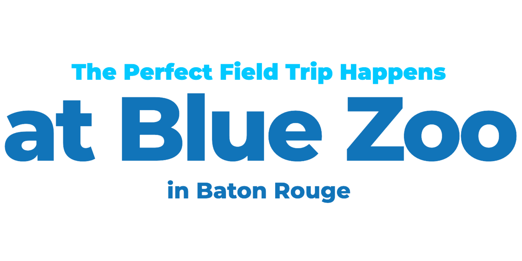 Blue Zoo Aquarium LLC Baton Rouge Field Trips
