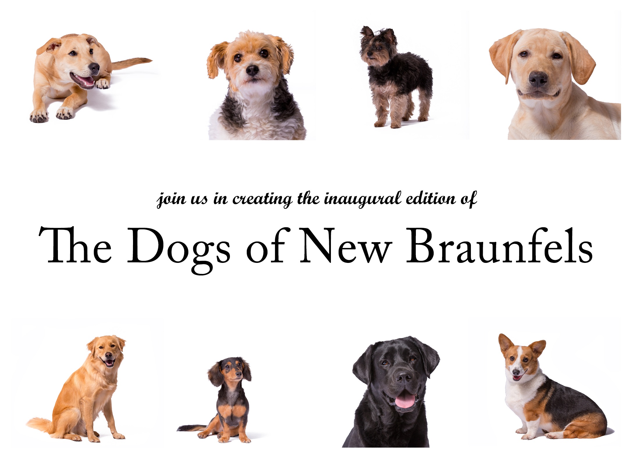 Dogs of New Braunfels