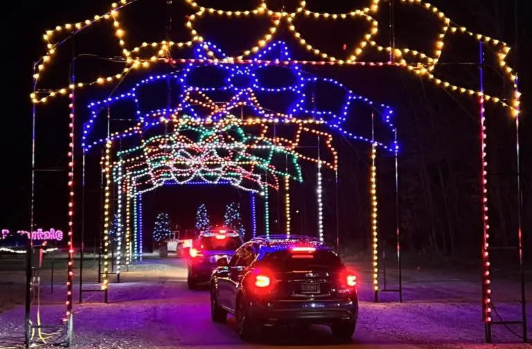 Illuminated holiday roadway