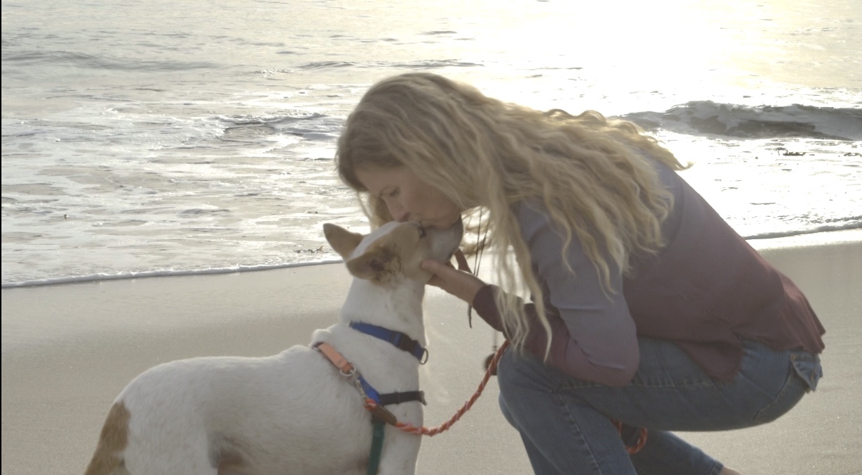 Behavior Adjustment Training (BAT) Reactivity Intensive