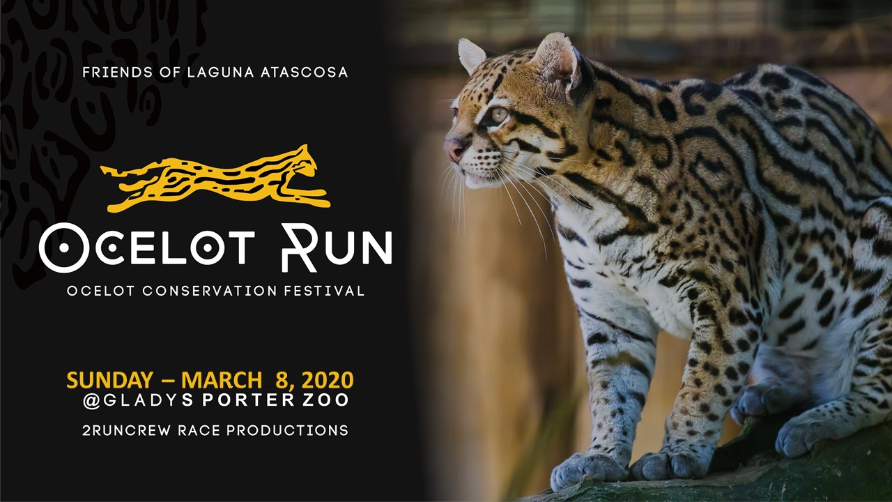 2020 Ocelot Run