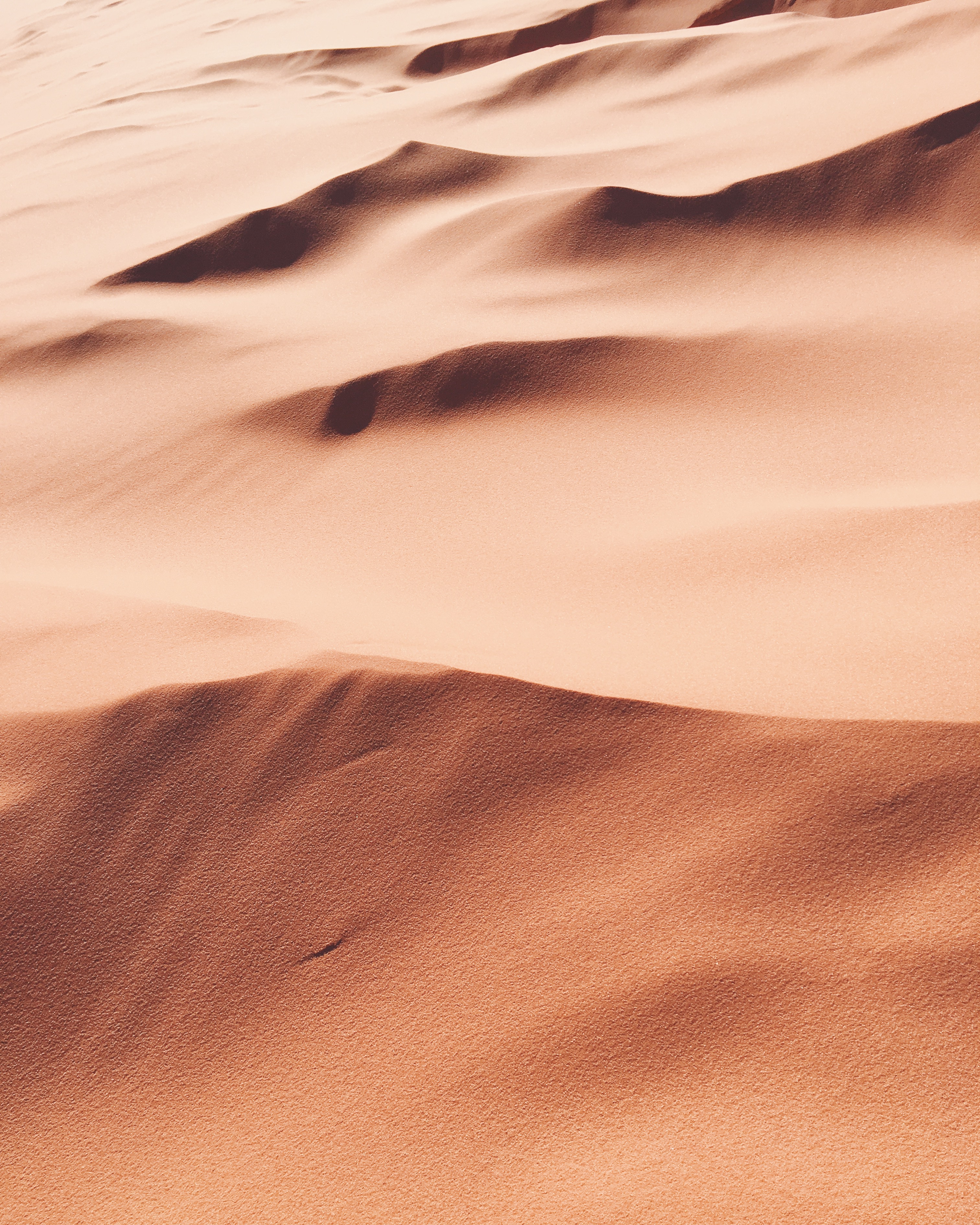 2023-sand-sports-super-swap