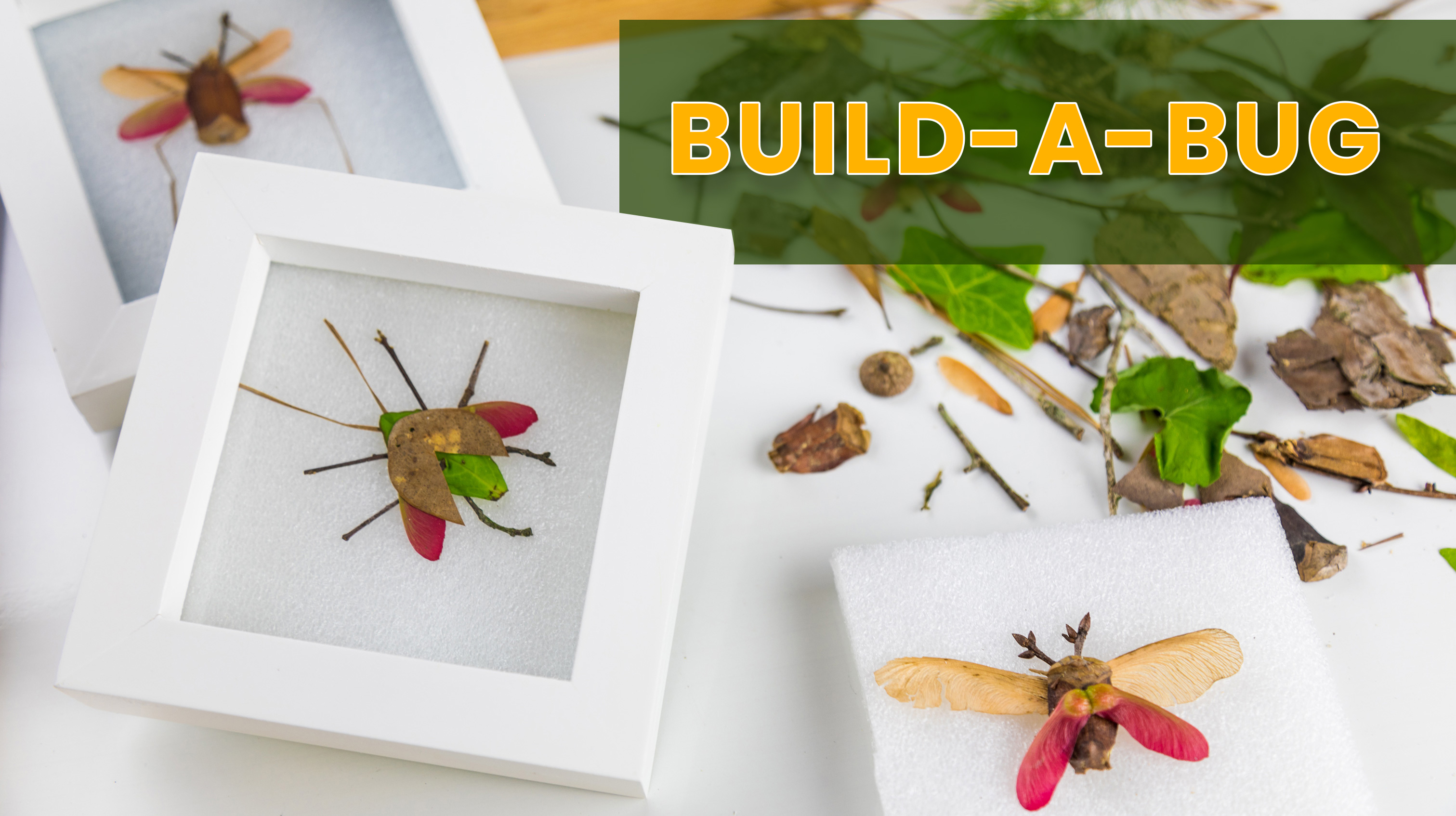 Build a Bug Project Starter Kit