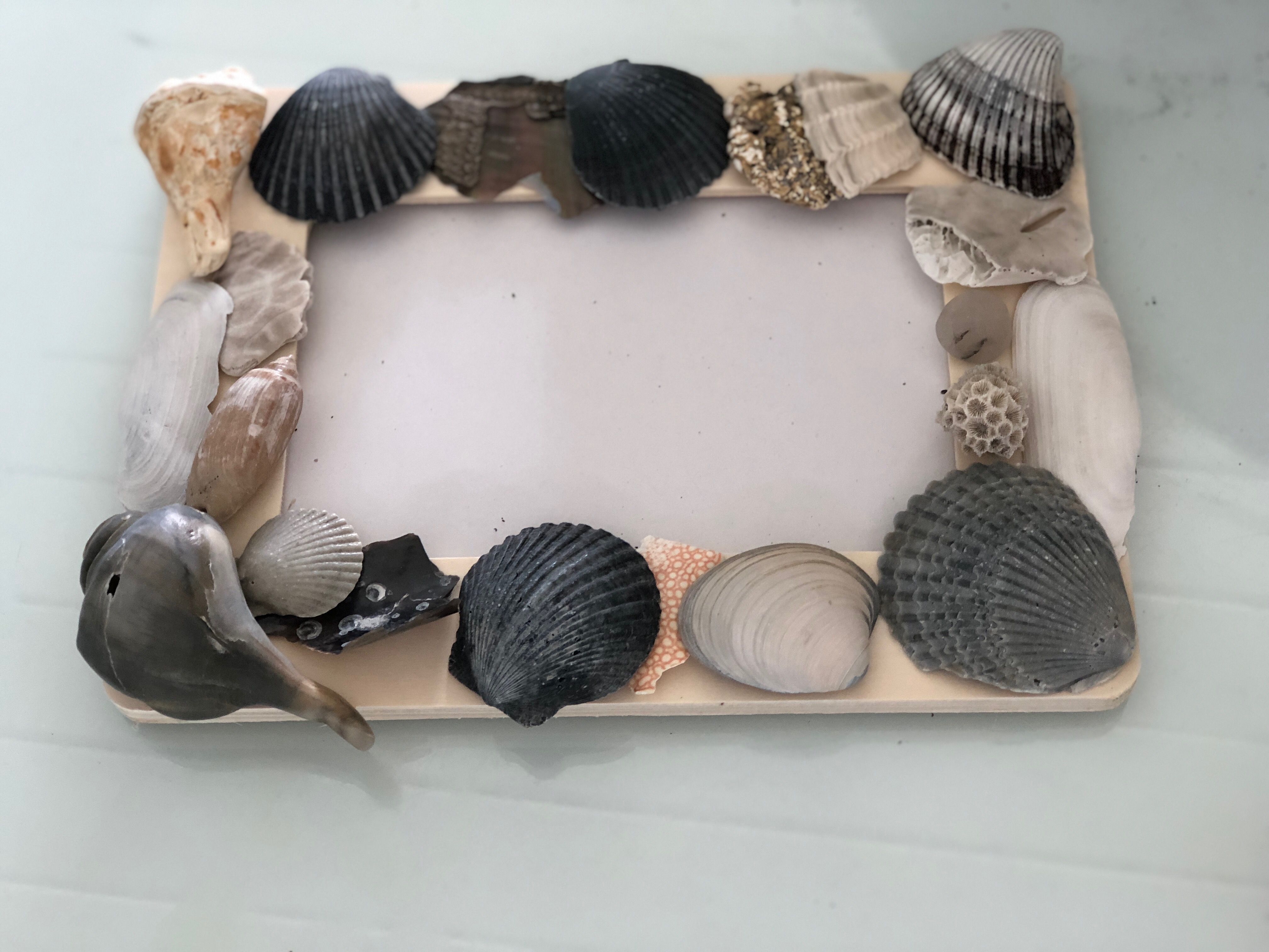 Seashell Frame Project Starter Kit