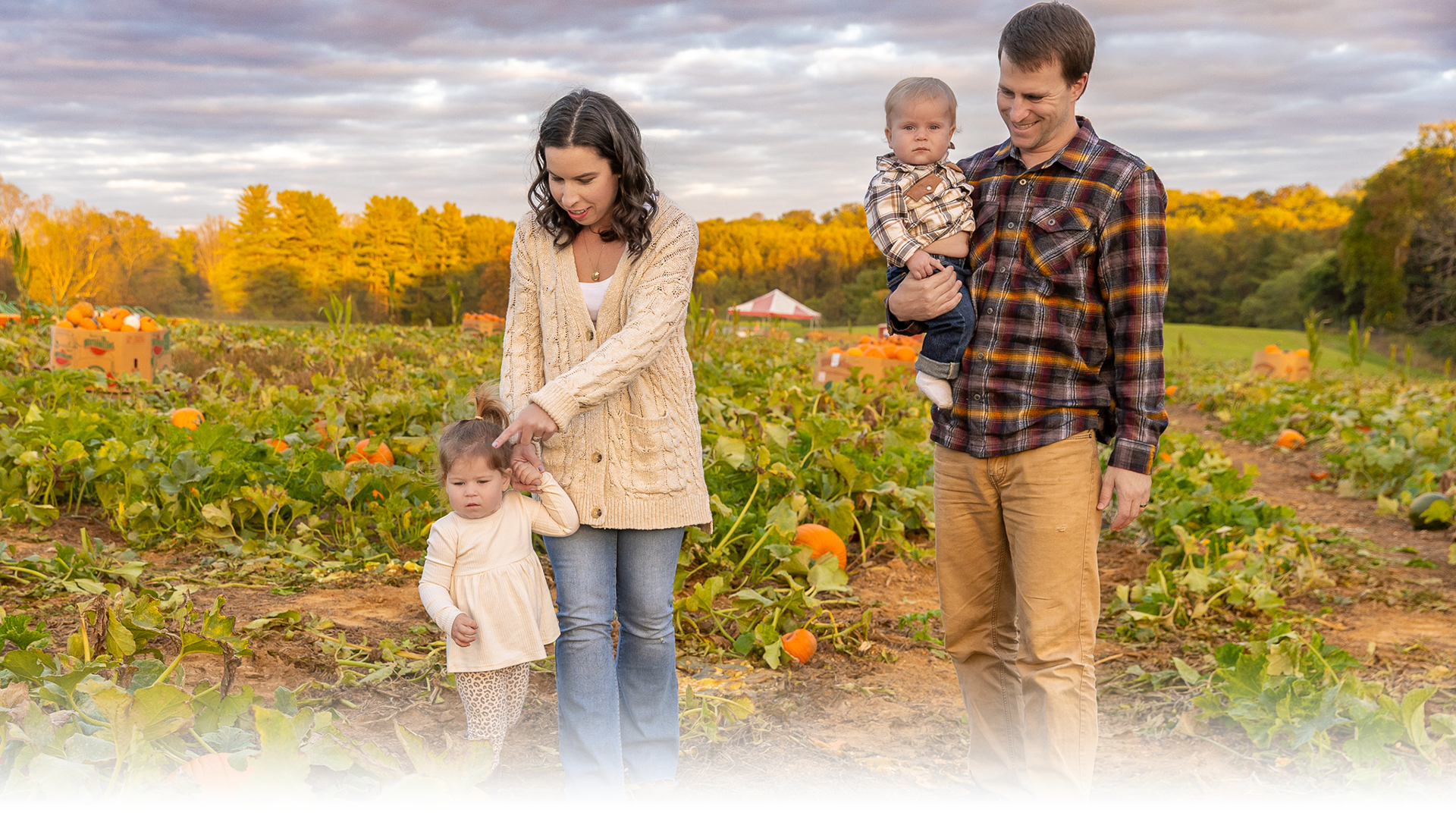 Pumpkin Patch