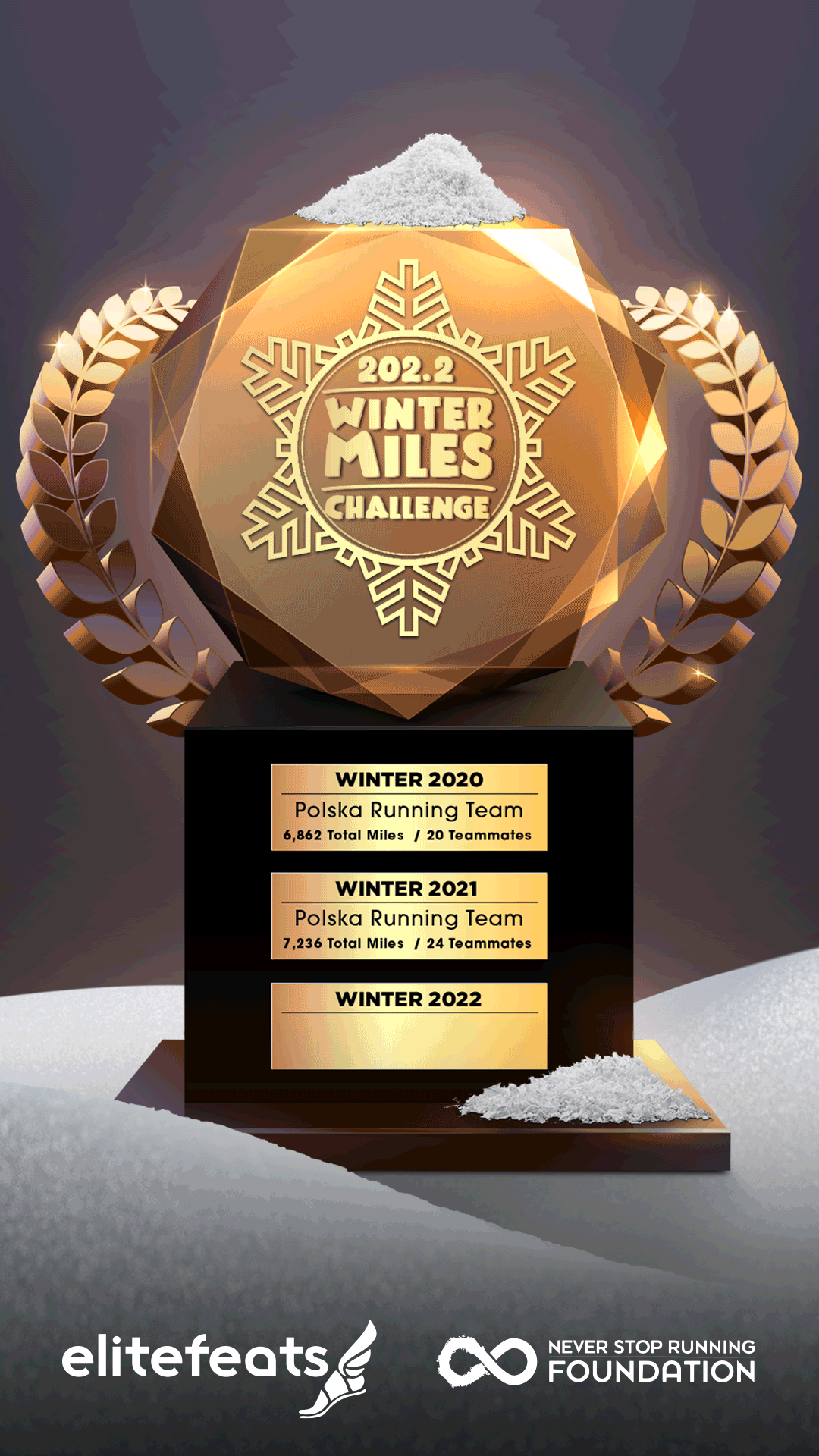 2022-never-stop-running-foundation-winter-miles-challenge