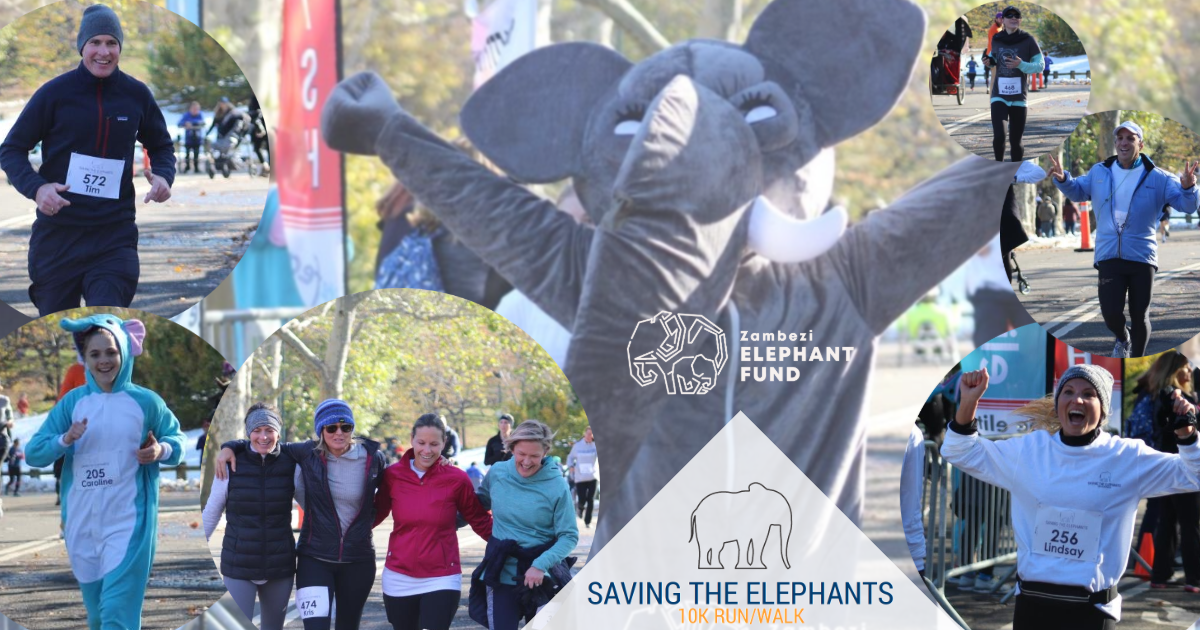 November 2019 Elephant Run 10K