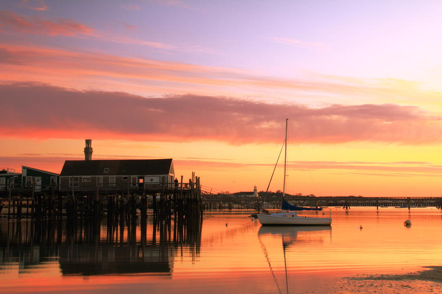 2023 Provincetown Polar Bear Plunge