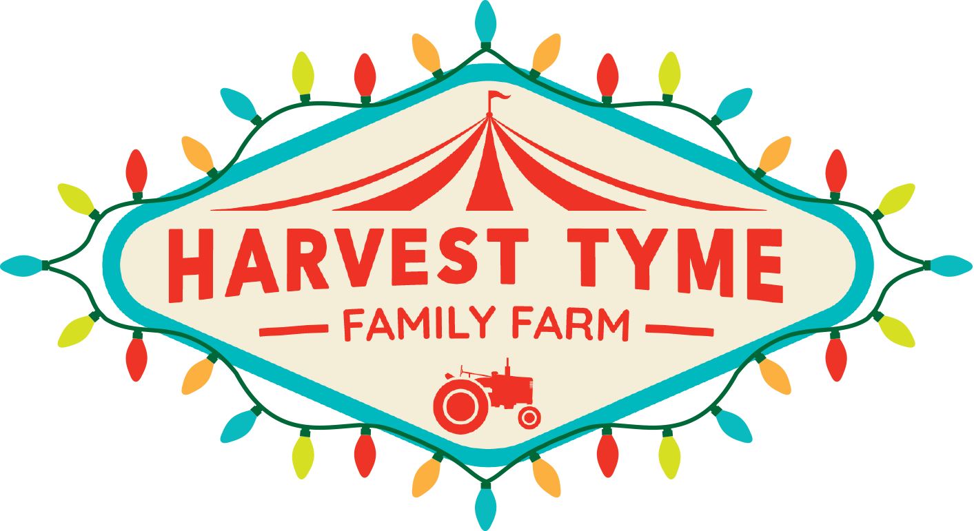 Christmas Tyme Lights