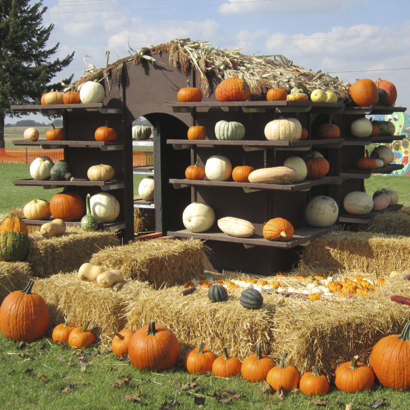 Pumpkin Festival 2023