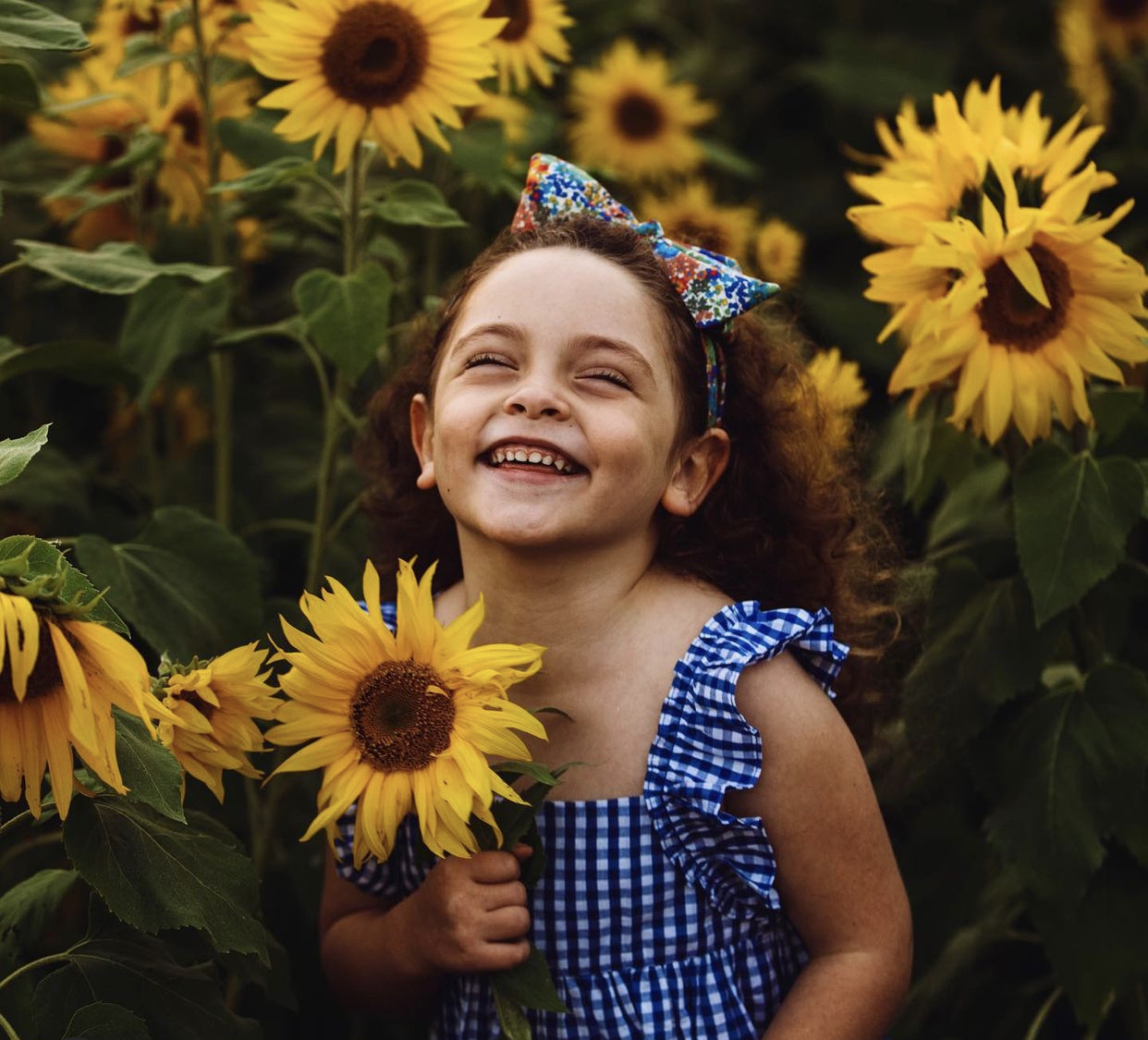 2021 Fall U Pick Sunflower 2021 Fall U Pick Sunflower