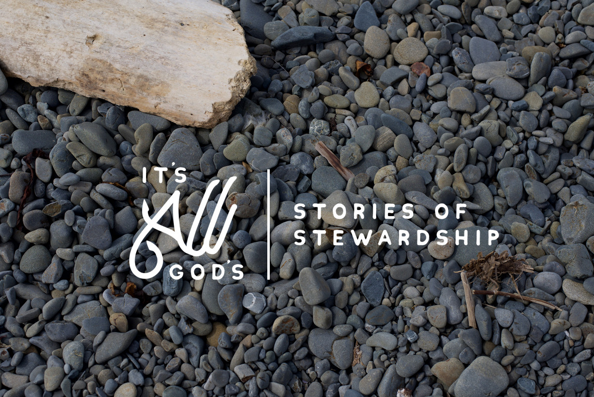 Fall 2017 Wesleyan Life