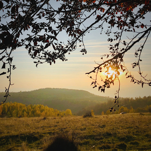 A Life Lived Fully and Generously