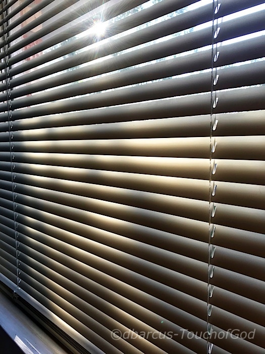 Window treatments crossword