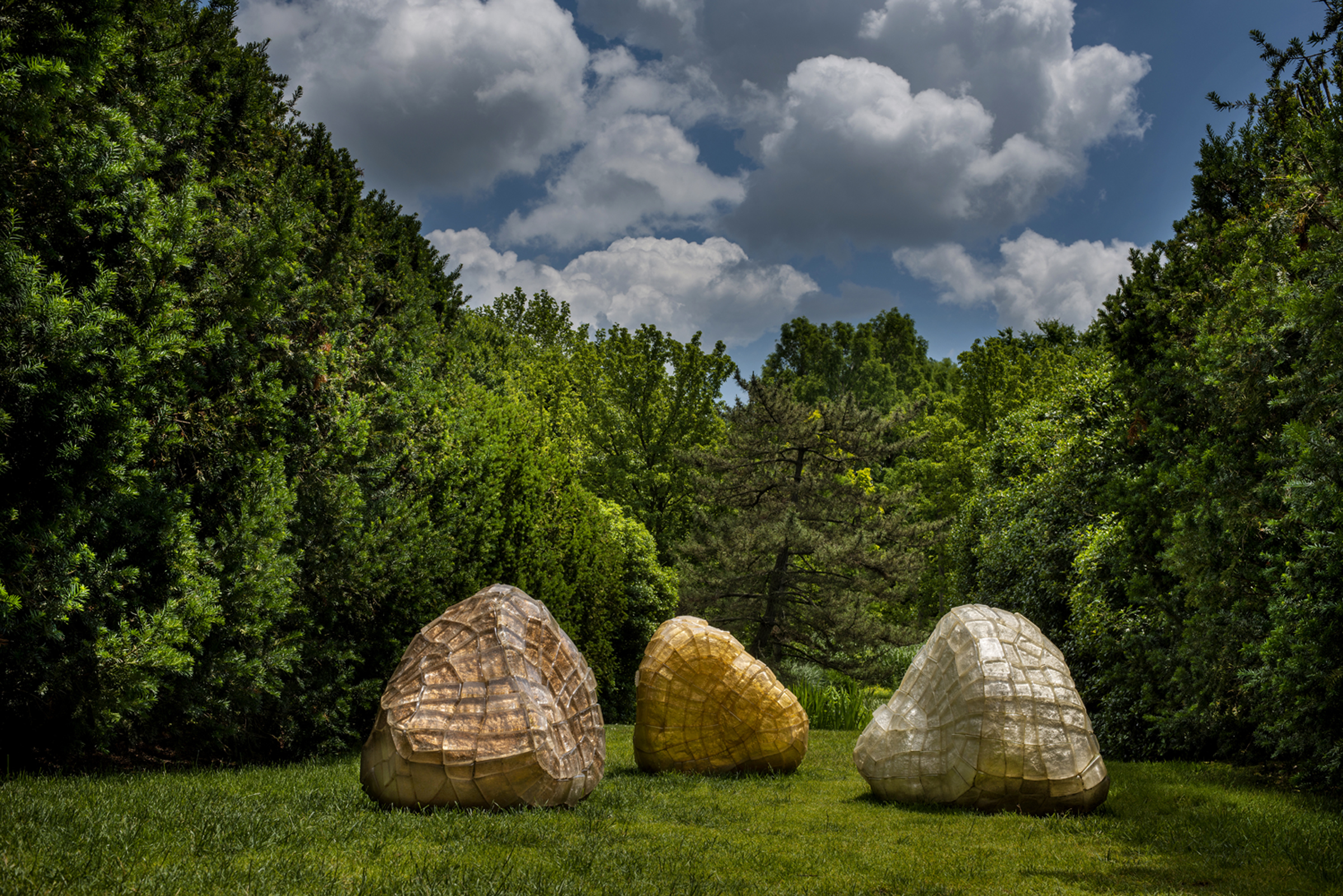 The Landscape Project