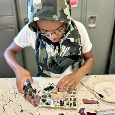 Stem Mosaic Camp