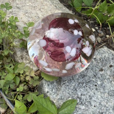 Shay Dzuik Cherry Blossom Paperweight