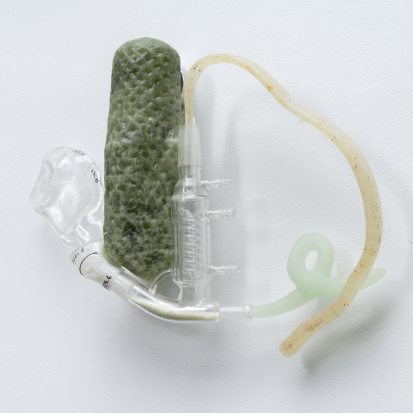 Boothe Cohen Semi Functional System