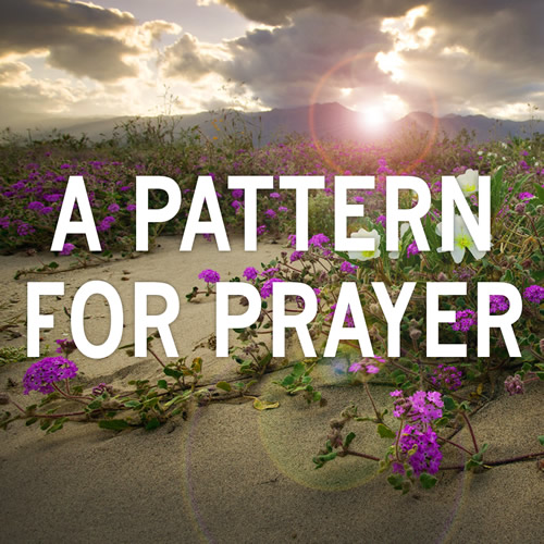 sermon-a-prayer-of-destruction-psalm-35-1-35-28-urc