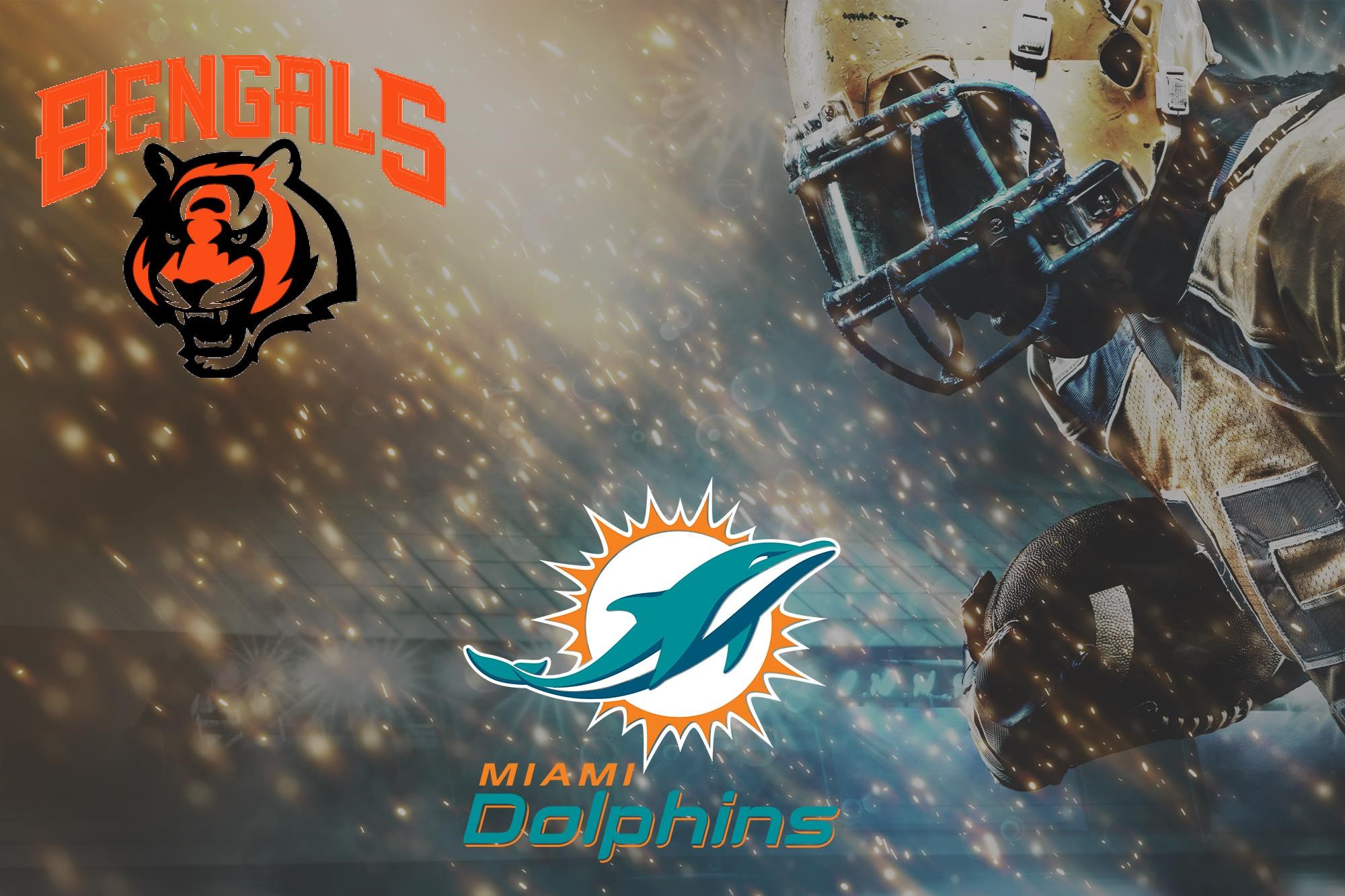 Cincinnati Bengals vs Miami Dolphins Suite