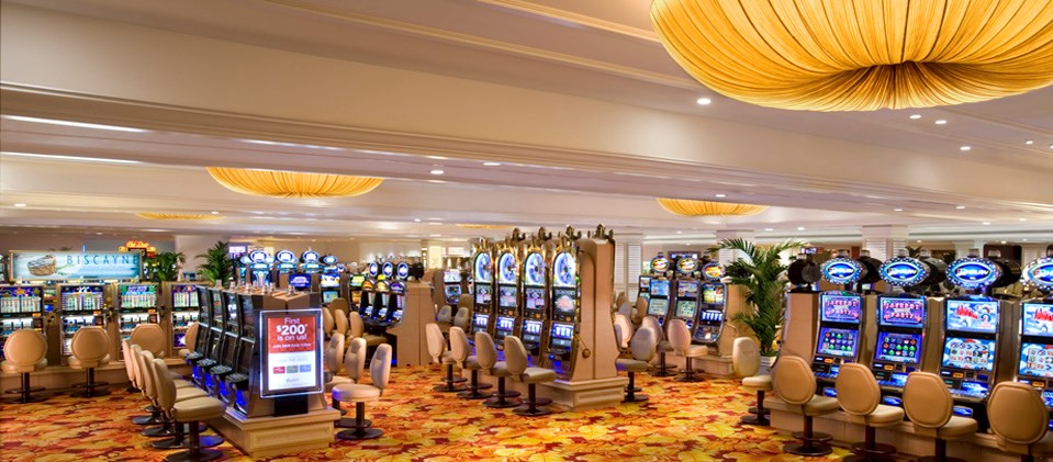 fever bingo dreamz casino