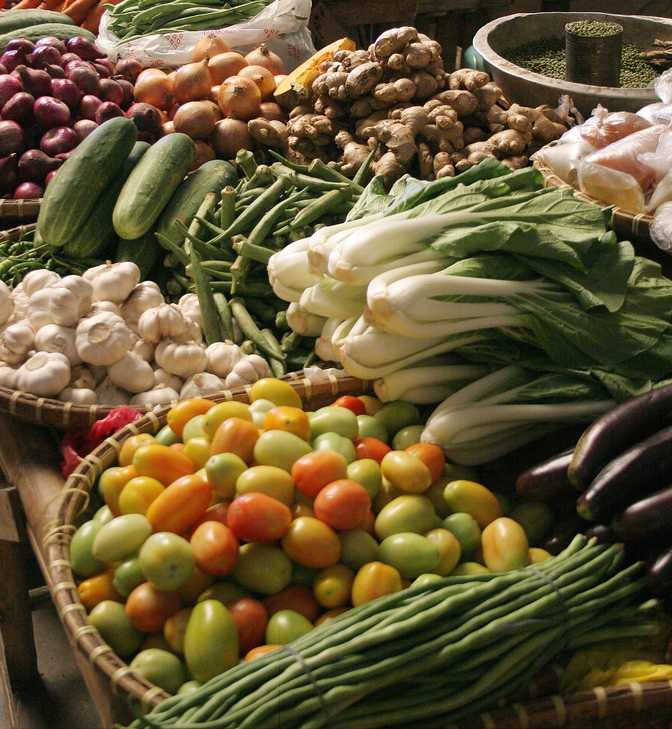 ≫ Green Leaf Lettuce vs Romaine Lettuce What is the difference?