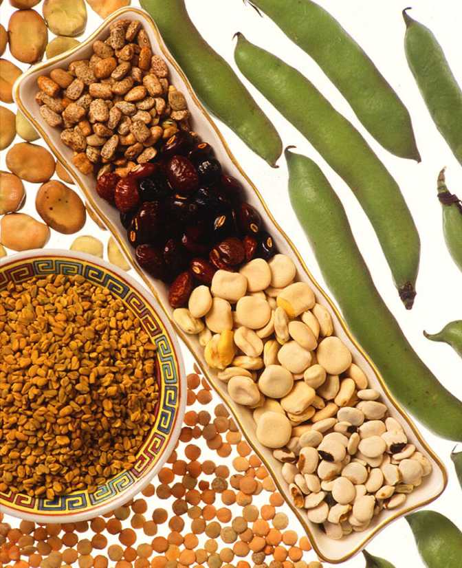 Kidney Beans vs Soybeans What is the difference?