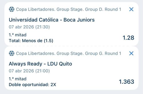 Imagen original del boleto