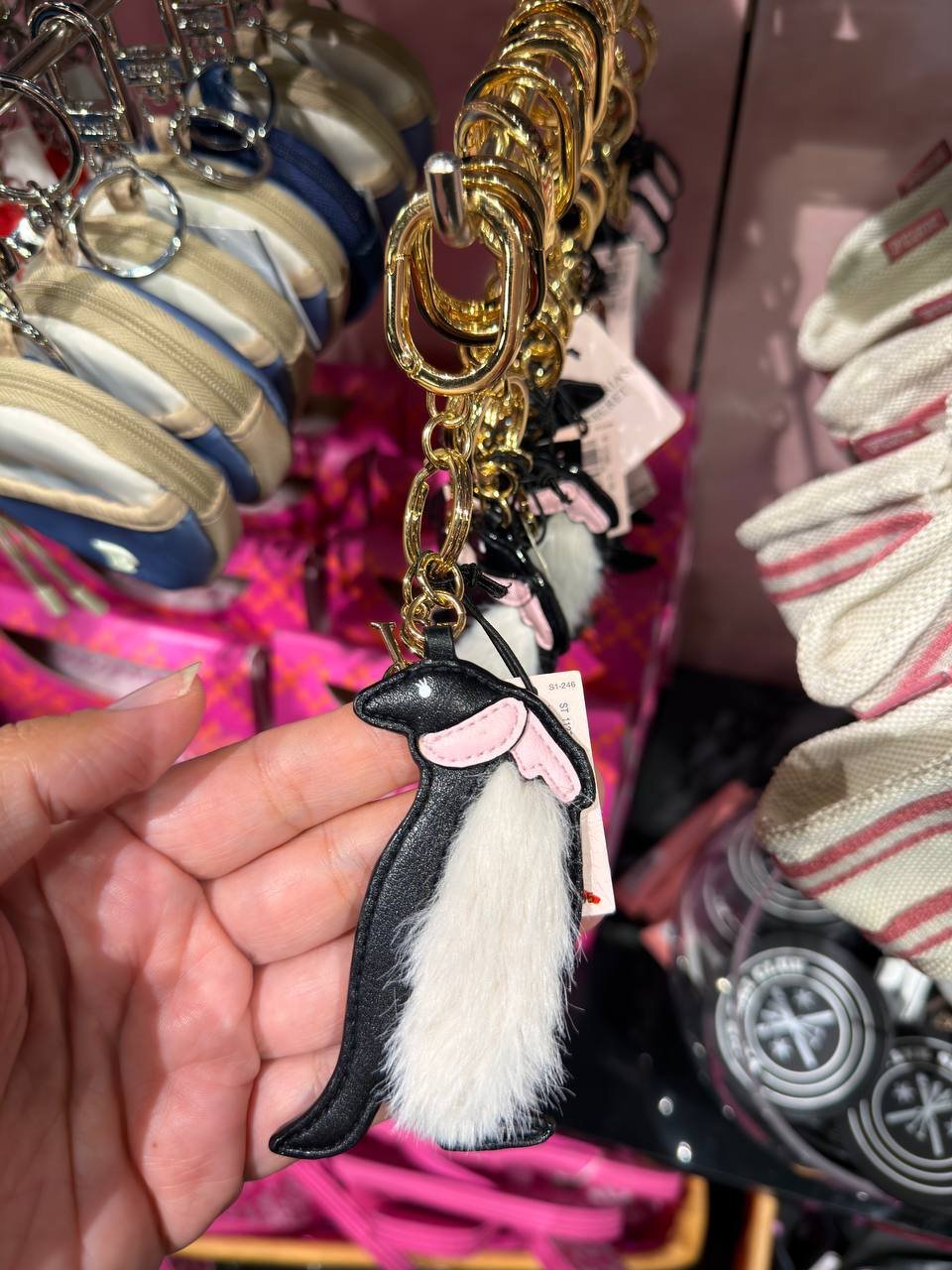 CHARM